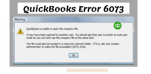 QuickBooks Error 6073 (1)